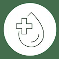 No Parabens, Sulfates, or Phthalates